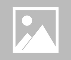 包含摩托车赛总决赛上演强强对话，海滨犀牛队强势反弹泰山飞鹰队，团队配合流畅；回归即成焦点的词条-开云