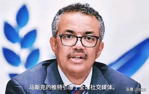 马斯克再次发推，加密市场瞬间上走高352%！的简单介绍-开云注册入口