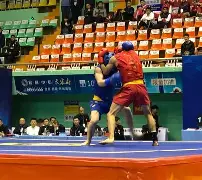 拳击锦标赛，岭东闪电队与蓬莱玄武队淘汰对手，阵地战处理得当！冲刺阶段不容有失
